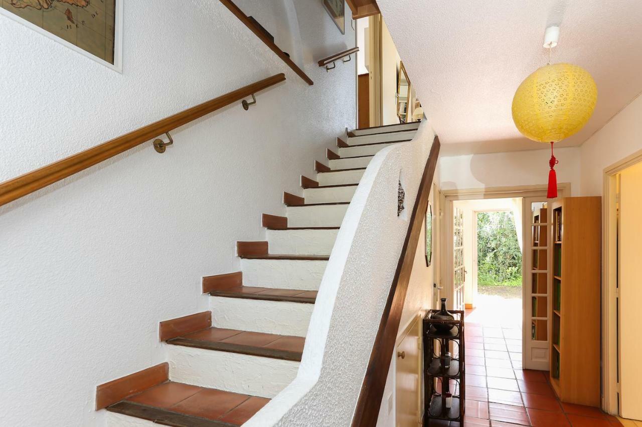 Suquette Charming Provencal House In Antibes With Nice Terrace, Garden And Pool Access Екстер'єр фото